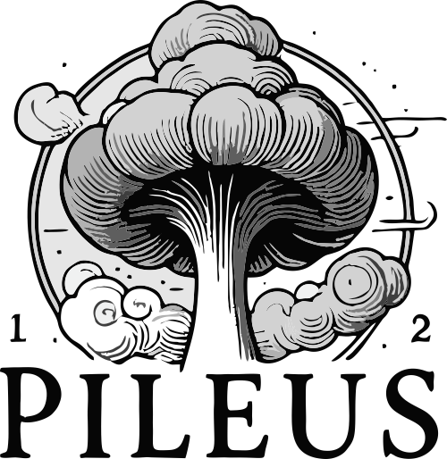Pileus Logo